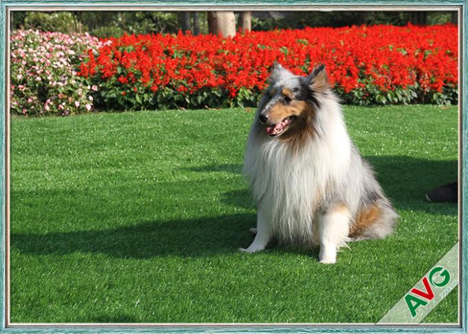 المناظر الطبيعية شرفة الحديقة العشب الاصطناعي الحيوانات الأليفة الكلب سكني العشب الاصطناعي 0