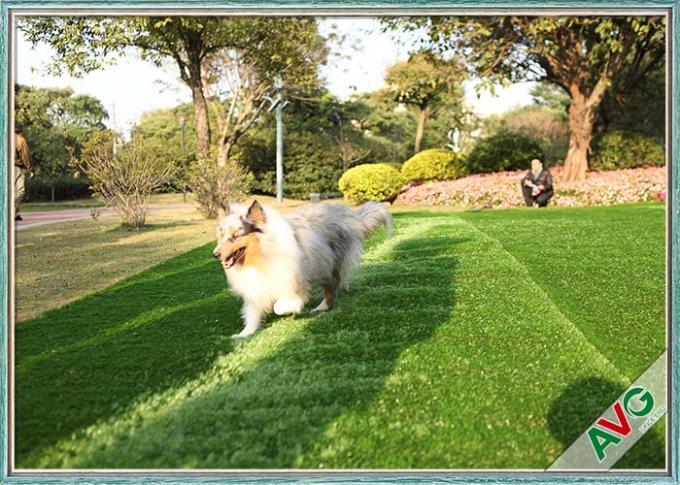 SBR اللاتكس / بو دعم الحيوانات الأليفة الاصطناعي العشب العشب عدن العشب الاصطناعي الحيوانات الأليفة المعاد تدويرها 0