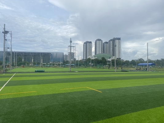 الصين 55mm الماس شكل كرة القدم العشب الاصطناعي العشب لكرة القدم وهمية المزود