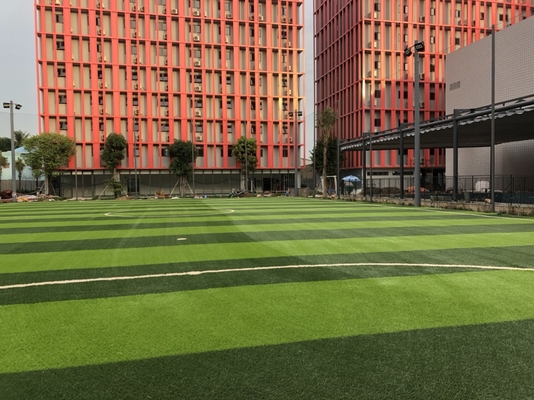 الصين 55 مم الاصطناعية كرة القدم الاصطناعية العشب Detex 11000 صلابة جيدة المزود
