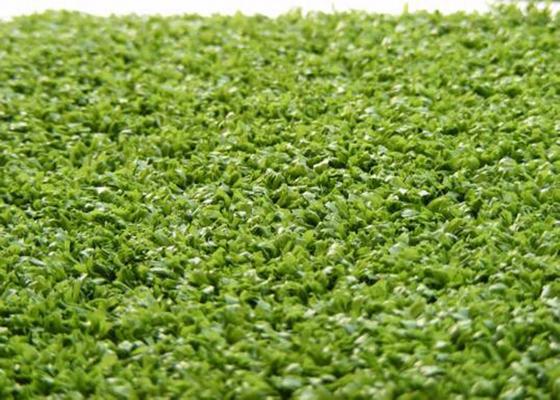 الصين Monofil PE Yarn Hockey Decorative Fake Grass Carpet 220 s / m Stitch 6600 Dtex المزود