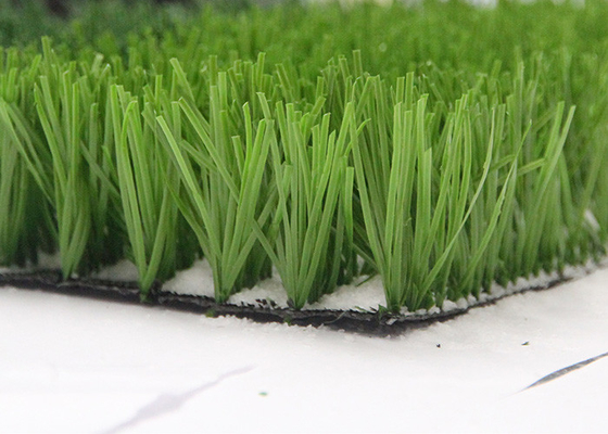 الصين Monofil PE Yarn مصنع العشب الاصطناعي الأخضر للرياضة ، ملعب كرة القدم العشب الاصطناعي المزود