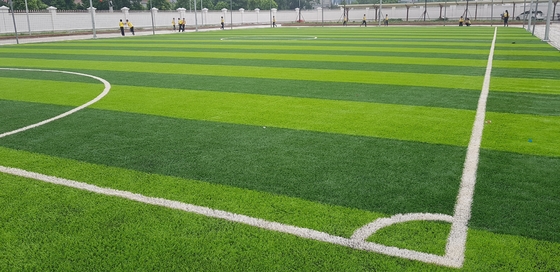 الصين 65 مللي متر كرة القدم العشب الاصطناعي العشب الاصطناعي لكرة القدم العشب وهمية المزود