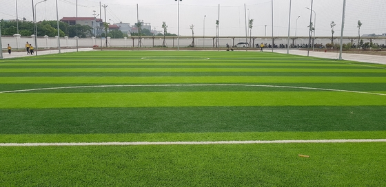 الصين سجاد عشب 70 مم عشب صناعي عشب صناعي لملعب كرة القدم المزود