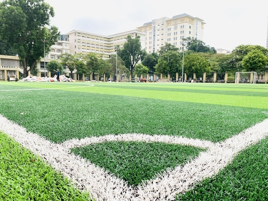الصين العشب الاصطناعي أفضل السجاد الاصطناعي العشب الاصطناعي العشب الأخضر 70mm المزود