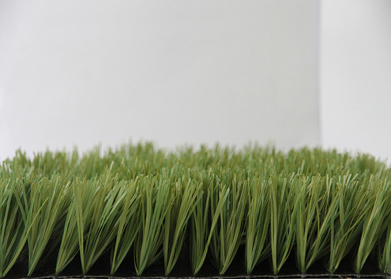 الصين 50 مم حيدة صغيرة لكرة القدم العشب الاصطناعي العشب المروج مع طلاء اللاتكس المزود