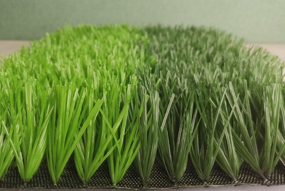 الصين وافق الفيفا على مصنع عشب بلاستيكي لكرة القدم مقاس 50 مم المزود