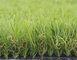 50 مم العشب الاصطناعي الطبيعي العشب حديقة العشب الجلد ودية المزود
