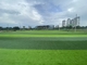 60mm ملعب كرة القدم العشب الاصطناعي السجاد صديقة للبيئة المزود