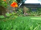 حديقة خضراء قابلة لإعادة التدوير عشب اصطناعي للزينة ، عشب صناعي للمنزل المزود