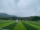 العشب الاصطناعي لملعب كرة القدم متعدد الوظائف لمواقع الحدائق الترفيهية المزود