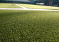 Monofil PE Yarn Hockey Decorative Fake Grass Carpet 220 s / m Stitch 6600 Dtex المزود
