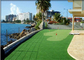 عرض ساحة الحديقة مخصص للجولف العشب الاصطناعي العشب الاصطناعي صديقة للبيئة المزود