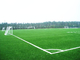 المناظر الطبيعية ملعب كرة القدم العشب الاصطناعي العشب وهمية شهادة SGF ISO9001 المزود