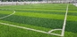 65 مللي متر كرة القدم العشب الاصطناعي العشب الاصطناعي لكرة القدم العشب وهمية المزود