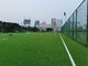 AVG 60mm كرة القدم العشب الاصطناعي العشب كرة الصالات سعر الجازون Synthetique للبيع بالجملة المزود