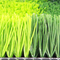العشب الاصطناعي أفضل السجاد الاصطناعي العشب الاصطناعي العشب الأخضر 70mm المزود