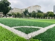 سجادة عشب اصطناعي للمناظر الطبيعية العشب الاصطناعي لملعب كرة القدم العشب الصناعي المزود