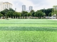 العشب الأخضر ، العشب الاصطناعي ، العشب الاصطناعي ، العشب الطبيعي ، العشب الاصطناعي لكرة القدم المزود