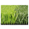 كرة القدم العشب الاصطناعي العشب لكرة القدم الأرضيات الرياضية العشب الاصطناعي للبيع بالجملة المزود