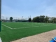 العشب الاصطناعي لكرة القدم لكرة القدم من FIFA لارتفاع كومة 50 مم المزود