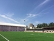 كرة القدم العشب الاصطناعي لكرة القدم السجاد للبيع بالجملة 40-60mm المزود