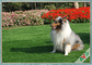 المناظر الطبيعية شرفة الحديقة العشب الاصطناعي الحيوانات الأليفة الكلب سكني العشب الاصطناعي المزود