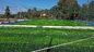عشب اصطناعي 50 مم أخضر مقاوم للأشعة فوق البنفسجية لملعب كرة القدم المزود