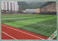 SGS سهل الصيانة العشب الاصطناعي لكرة القدم مع دعم PP + صافي المزود