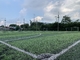 العشب الاصطناعي لكرة القدم الأحادي عرض لفة 2.0 متر 30N المزود