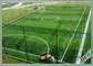 سهل الصيانة العشب الاصطناعي لكرة القدم ، ملاعب كرة القدم العشب الاصطناعي المزود