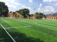 العشب الاصطناعي لكرة القدم PE مع خيوط جذعية قوية ودعم قوي المزود