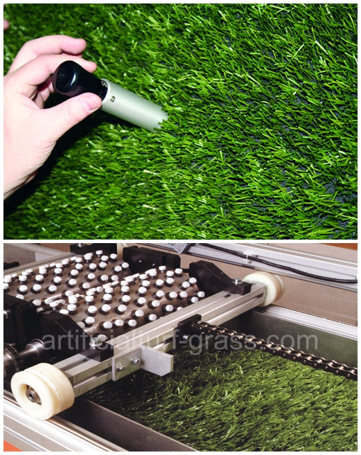 All Victory Grass (Guangzhou) Co., Ltd رقابة جودة 0