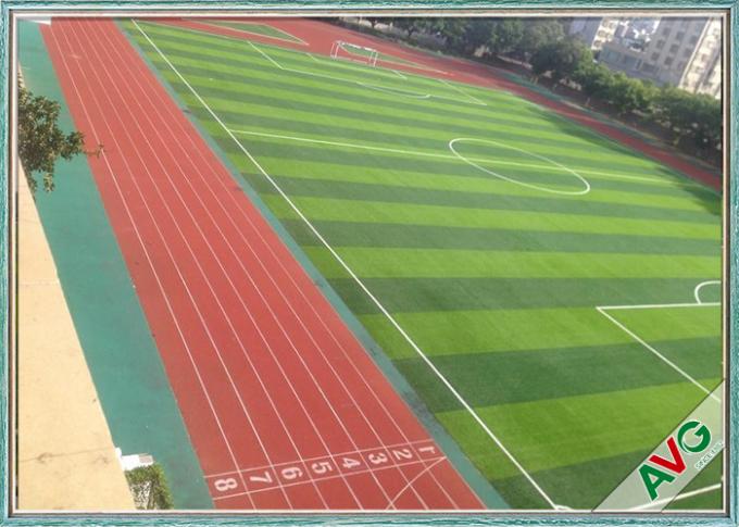 ملعب كرة القدم العشب الاصطناعي الأخضر + التفاح الأخضر PE حيدة 0