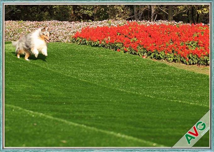 مقاومة للأشعة فوق البنفسجية الكلب الحيوانات الأليفة العشب الاصطناعي / تركيب صديقة للبيئة العشب الاصطناعي 0