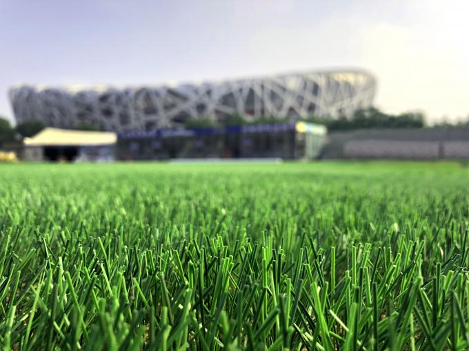كرة القدم العشب الطبيعي العشب الاصطناعي منسوجة ارتفاع 50 مم 0