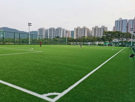 الصين المهنة سيسبيد العشب الاصطناعي لكرة القدم مع سعر المصنع 55 ملم المزود