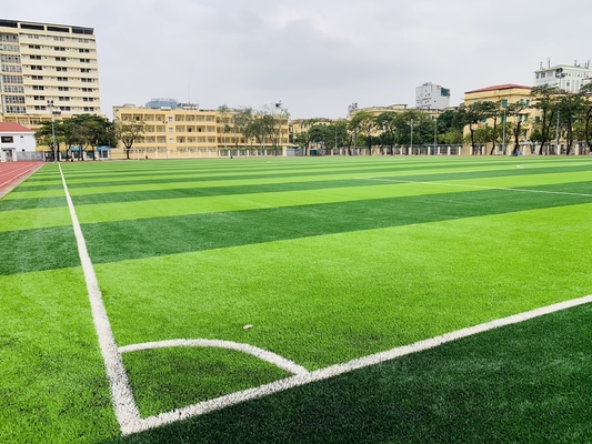 الصين أرضيات عشب صناعي لملعب كرة القدم 50 مم المزود