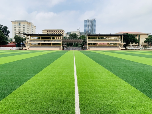 الصين أرضيات رياضية من العشب الاصطناعي مقاس 55 مم لملعب كرة القدم المزود