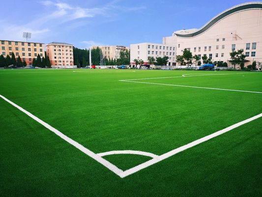 الصين كرة القدم العشب الاصطناعي لكرة القدم كرة القدم العشب لكرة القدم المزود