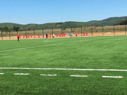 الصين عالية الجودة تصميم جديد مزيج العشب الاصطناعي لكرة القدم المزود