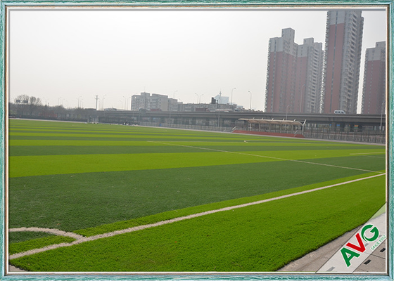 الصين سجادة عشب اصطناعية عالية الكثافة في الأماكن المغلقة / في الهواء الطلق لكرة القدم المزود