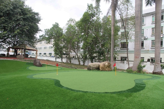 الصين العشب الاصطناعي PP + Fleece Garden مع لون مشرق ضمان 5 سنوات المزود