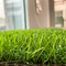 العشب الاصطناعي للحديقة 35MM حديقة العشب الاصطناعي المناظر الطبيعية المزود