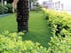 فندق الصحة الخضراء المناظر الطبيعية العشب الاصطناعي قابلة لإعادة التدوير 40 مم ارتفاع المزود