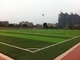 ملعب كرة القدم الخضراء العشب الاصطناعي ، ملعب العشب وهمية للخارج المزود