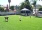 خلفية حديثة للمنزل عشب اصطناعي للحيوانات الأليفة ، عشب صناعي أخضر للعب الحيوانات الأليفة المزود