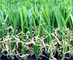 حقل / زيتون أخضر ملعب العشب الاصطناعي عشب صناعي مروج مضادة للأشعة فوق البنفسجية المزود