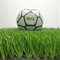 العشب الاصطناعي AVG لملعب كرة القدم العشب الاصطناعي المزود