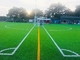 كرة القدم الاصطناعية ، العشب الاصطناعي لكرة القدم ، العشب الصناعي للأرضيات الرياضية 40-60 مم المزود